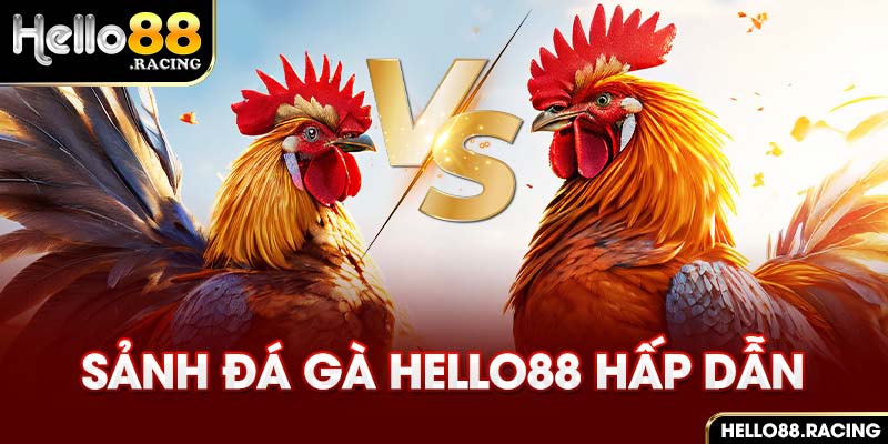 Sảnh đá gà Hello88 cực chất